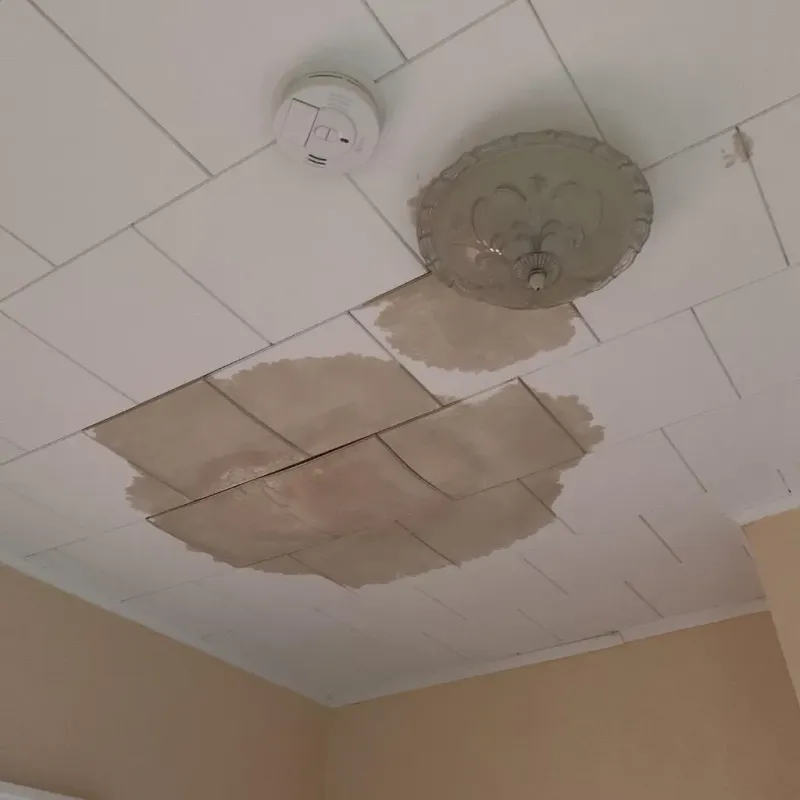 Ceiling Water Damage Repair in Beaver County, PA