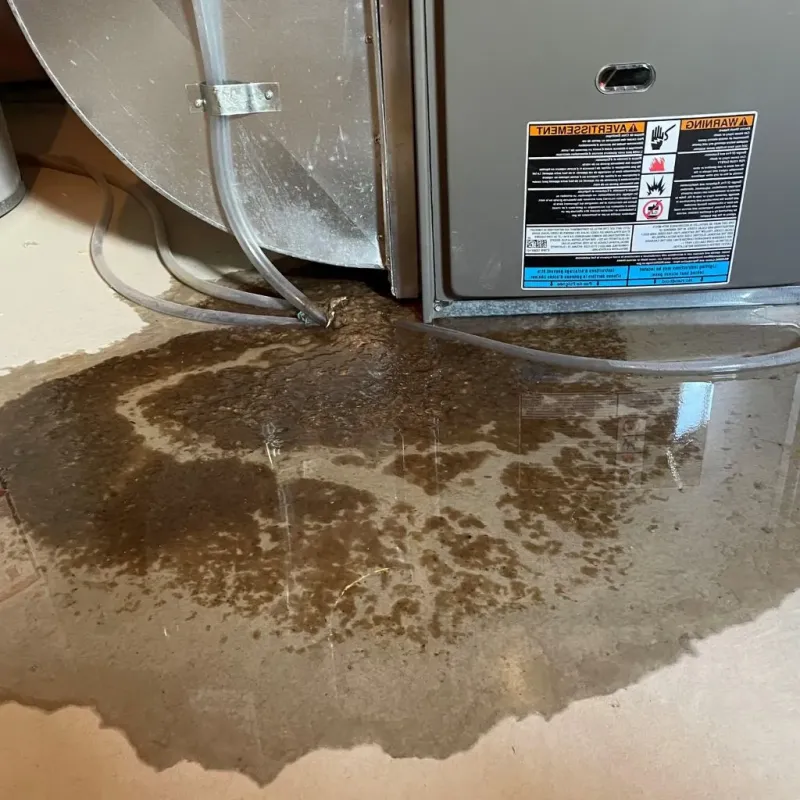 Pipe Burst and Leak Restoration in Beaver County, PA